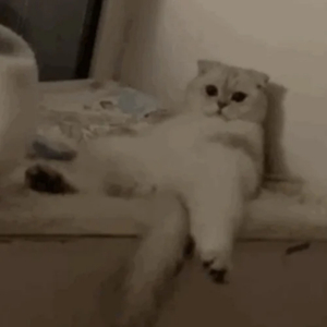 大乳奶一级婬片AAA片图片
